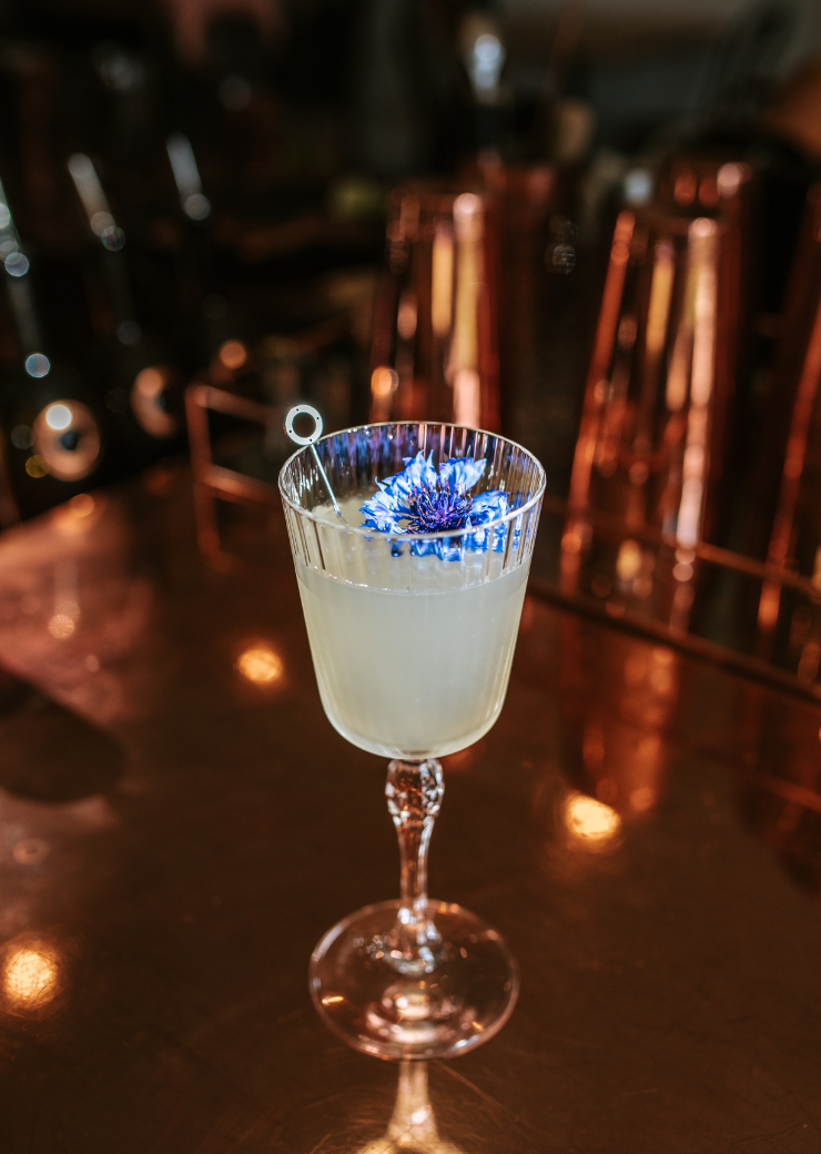 Elderflower Blossom