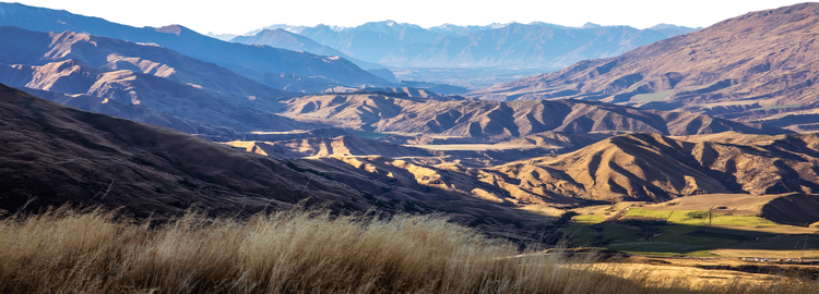 The Cardrona